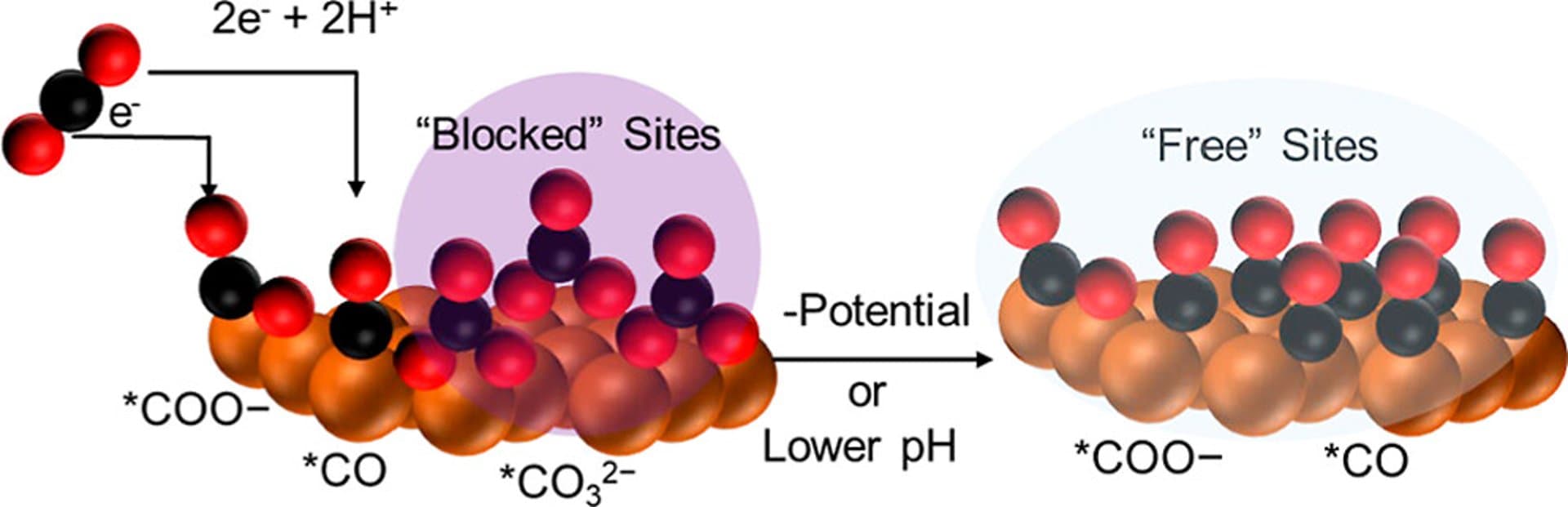 Competitive Carbonate Binding Hinders Electrochemical CO2 Reduction to CO on Cu Surfaces at Low Overpotentials