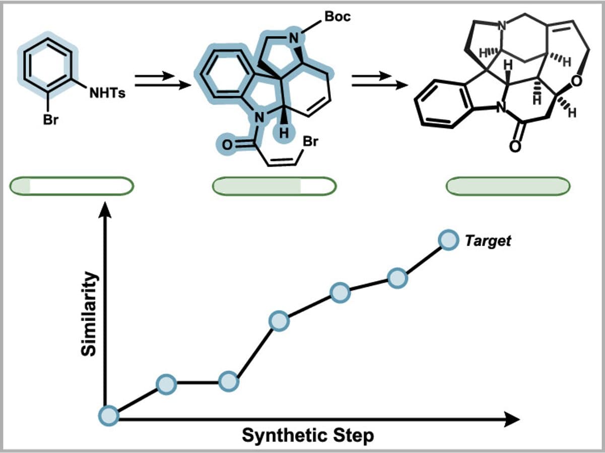 EvolvedComplexity as a Total Synthesis Assessment Metric: Strychnine as a Case Study of Scoring Functions