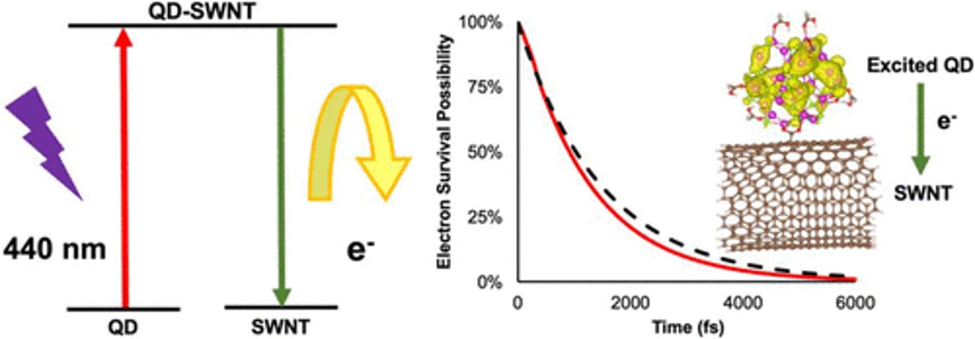 Strong Coupling of CdSe Quantum Dots to Single-Walled Carbon Nanotubes
